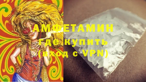 ГАЛЛЮЦИНОГЕННЫЕ ГРИБЫ Корсаков
