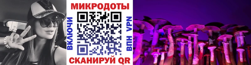 Галлюциногенные грибы мицелий Купить закладки Черняховск